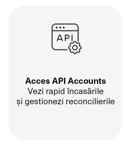 Ropay - Serviciu persoane juridice